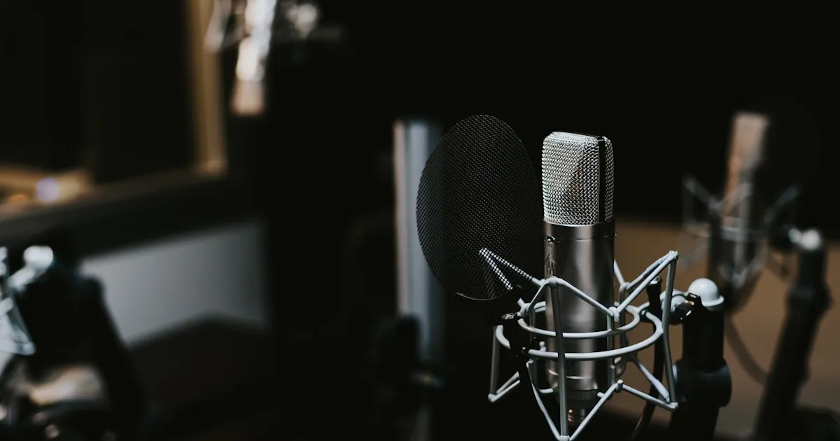 Professional studio microphone used for audio recording and transcription
